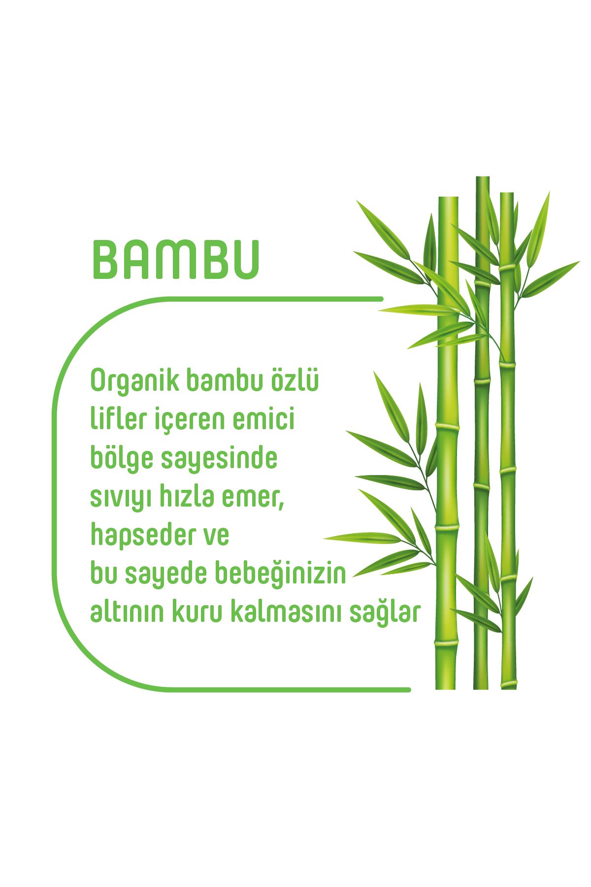 Pure Baby Organik Bambu Özlü Külot Bez 3'Lü Paket 5 Numara Junior 120 Adet
