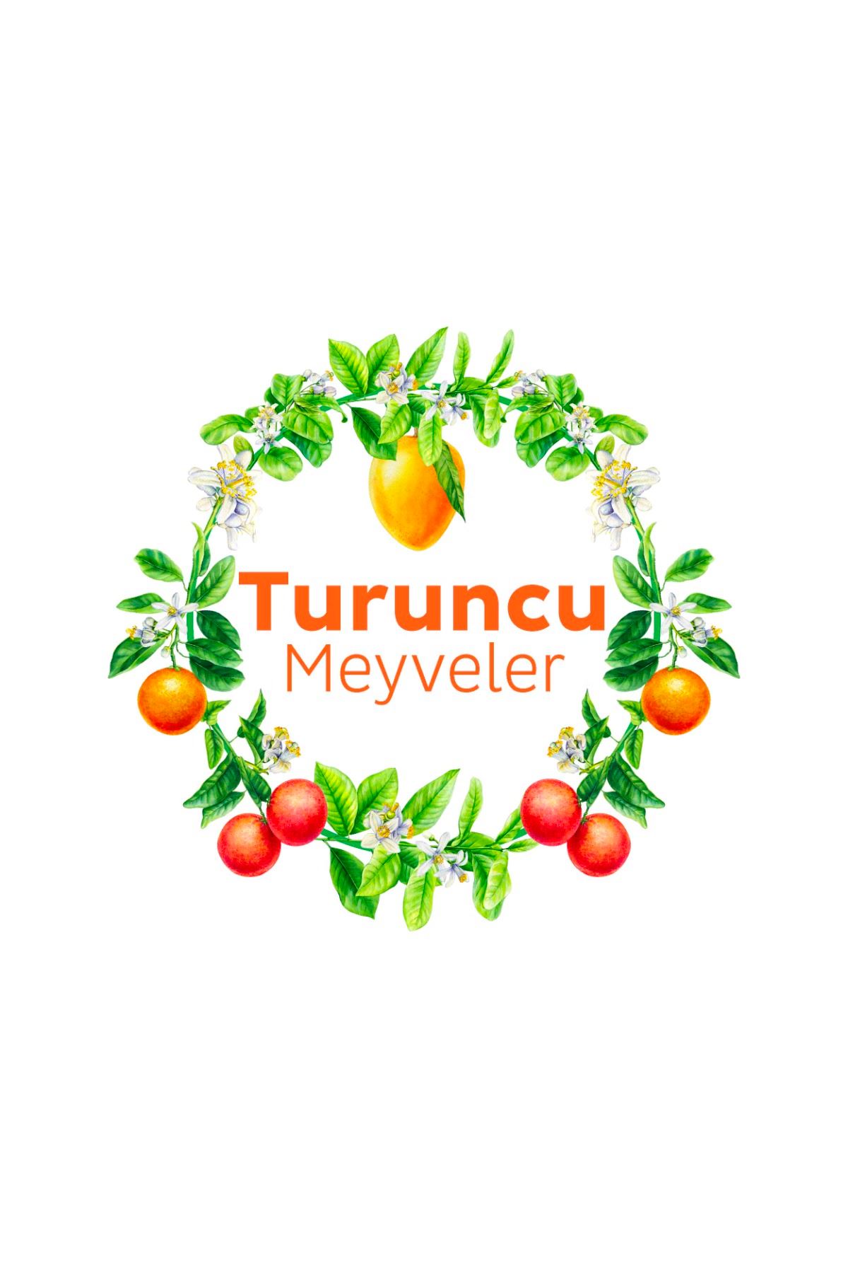 Puretex Yüzey Temizlik Havlusu Turuncu Meyveler 6x100 (600 Yaprak)