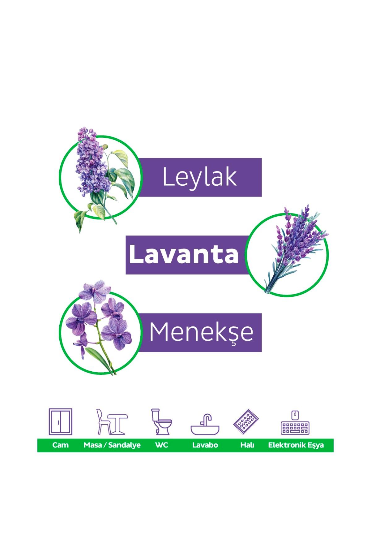 Puretex Yüzey Temizlik Havlusu Mor Bitkiler 12x100 (1200 Yaprak)