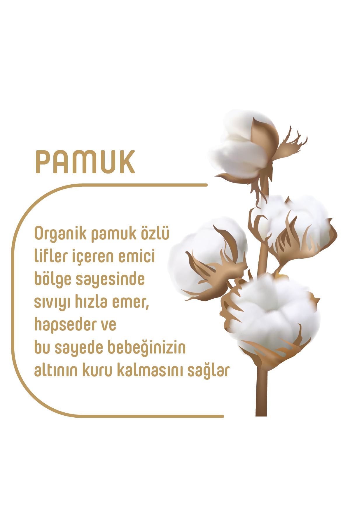 Pure Baby Organik Pamuklu Cırtlı Bez Ekonomik Paket 6 Numara Xlarge 120 Adet