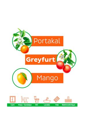 Puretex Yüzey Temizlik Havlusu Turuncu Meyveler 3x100 (300 Yaprak)