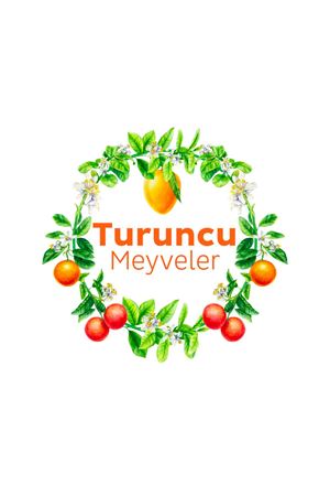 Puretex Yüzey Temizlik Havlusu Pembe Çiçekler+Turuncu Meyveler+Mor Bitkiler 3x100 (300 Yaprak)